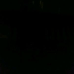 Meet your Posher, Bernard